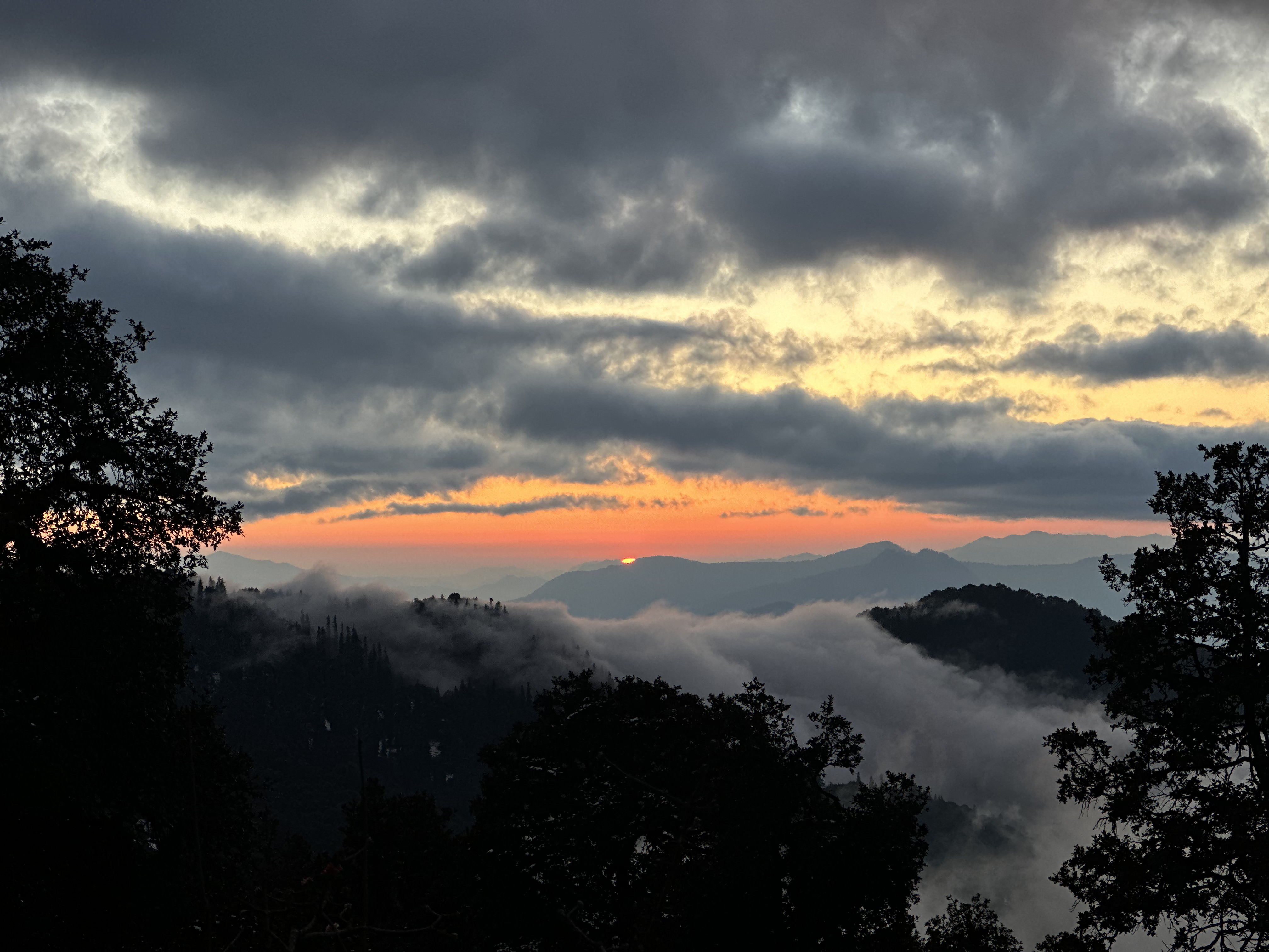Tungnath Trek from Chopta: Your Path to the Peaks